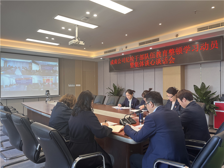 no169-成南公司召开纪检干部队伍教育整顿学习动员暨集体谈心谈话会1（李南）.JPG